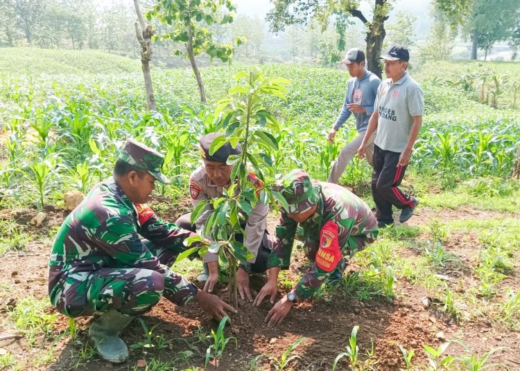 Karya bakti penanaman pohon di kawasan Bendung Gerak Desa Ngringinrejo, Kecamatan Kalitidu, Bojonegoro.