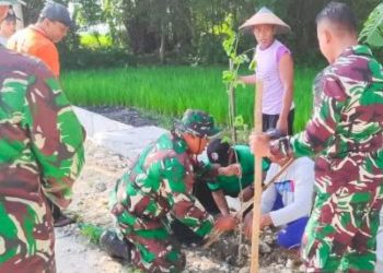 Penanaman pohon yang dilakukan di Desa Bendo Kecamatan Kapas, Bojonegoro.
