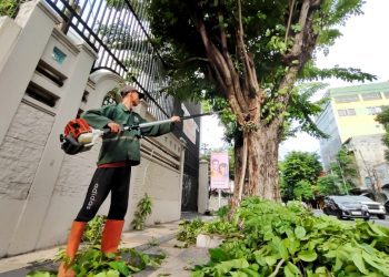 Salah satu pelaksanaan pertandingan pohon yang dilakukan Dinas Lingkungan Hidup Kota Surabaya.