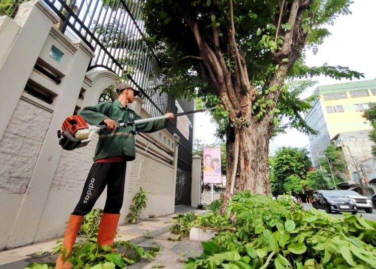 Salah satu pelaksanaan pertandingan pohon yang dilakukan Dinas Lingkungan Hidup Kota Surabaya.