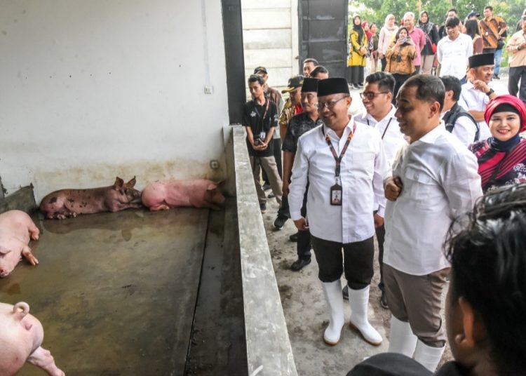 Wali Kota Surabaya Eri Cahyadi saat meresmikan sekaligus meninjau Rumah Potong Hewan khusus babi di Banjarsugihan, Kecamatan Tandes.