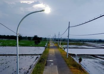 Salah satu titik penerangan jalan umum yang ada di Kabupaten Bojonegoro.