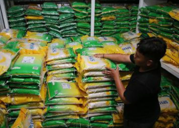 Distribusi beras yang sudah dilakukan ke kios TPID. Untuk menstabilkan harga bahan pokok, Pemkot Surabaya segera melaksanakan pasar murah di semua kecamatan di Surabaya.