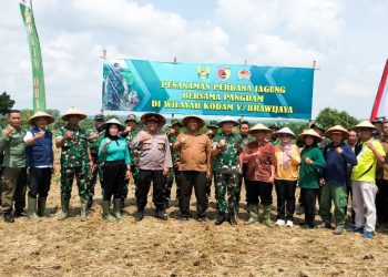 Kegiatan tanam bibit jagung di Desa Ngorogunung, Kecamatan Bubulan, Bojonegoro.