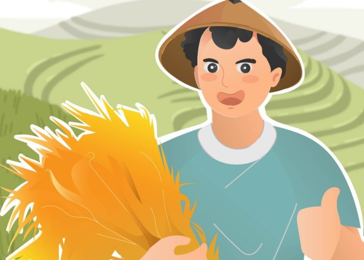 Foto ilustrasi, pada musim panen Maret dan April 2024, Kabupaten Bojonegoro diprediksi surplus produksi beras.