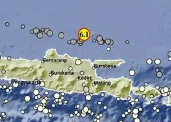 Foto tangkapan layar, titik gempa di Tuban yang imbasnya dirasakan di beberapa daerah lain.