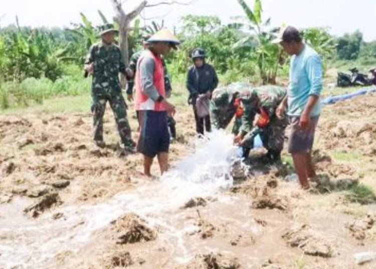 Pendampingan program pompanisasi, oleh jajaran Bintara Pembina Desa Kodim 0813 Bojonegoro kepada petani.
