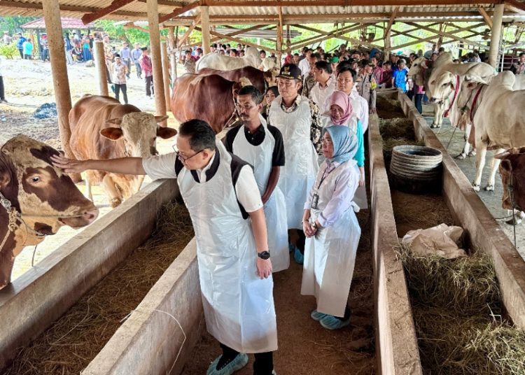 Pj Gubernur Jatim Adhy Karyono meninjau hewan kurban di HFT Glorious Farm, Kabupaten Lamongan.