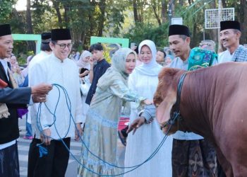 Pj Bupati Bojonegoro Adriyanto usai Salat Idul Adha menyerahkan hewan kurban kepada pengurus Masjid Agung Darussalam Bojonegoro.