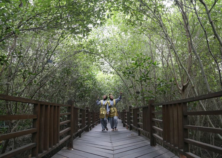 Kebun Raya Mangrove Surabaya.