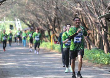 Beberapa peserta Mangrove Eco Run 2024 mengikuti kegiatan lari dalam peringatan HUT ke-1 Kebun Raya Mangrove Surabaya.