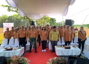 Sekolah Lapang Pengelolaan Tanaman Terpadu di Desa Temu, Kecamatan Kanor, Kabupaten Bojonegoro.