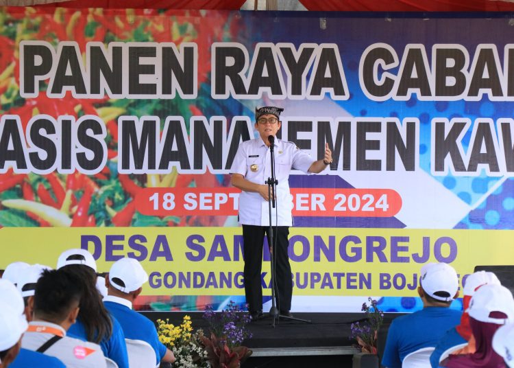 Pj Bupati Bojonegoro Adriyanto memberikan sambutan dalam kegiatan panen raya cabai rawit di Desa Sambongrejo, Kecamatan Gondang.