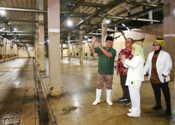 Pjs Wali Kota Surabaya, Restu Novi Widiani saat meninjau PD Rumah Potong Hewan Surabaya.