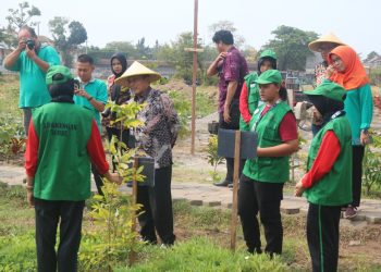 Tim juri mengunjungi lahan pertanian di pekarangan SMPN 4 Kota Kediri.
