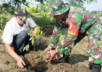 Penanaman pohon oleh Kodim Bojonegoro dalam program pembinaan lingkungan hidup.