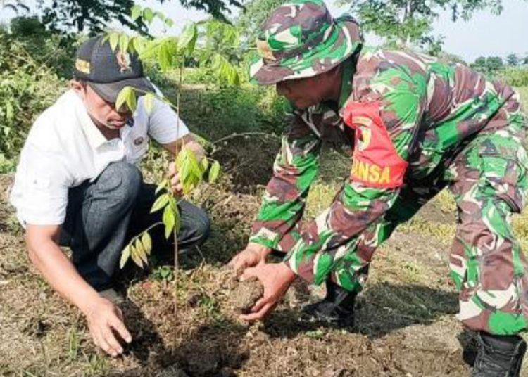 Penanaman pohon oleh Kodim Bojonegoro dalam program pembinaan lingkungan hidup.