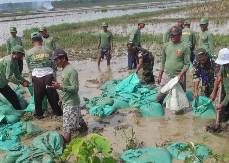 Upaya perbaikan tanggul jebol di Kali Simo Desa Sumuragung, Kecamatan Baureno, Bojonegoro.