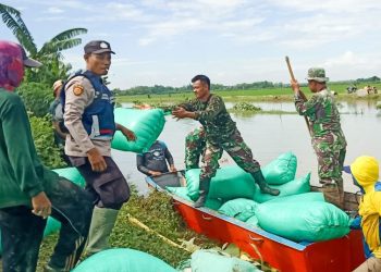 Upaya perbaikan tanggul di Desa Kedungprimpen, Kecamatan Kanor, Kabupeten Bojonegoro.