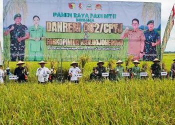 Panen raya padi di Desa Mulyorejo, Kecamatan Balen, Kabupaten Bojonegoro.