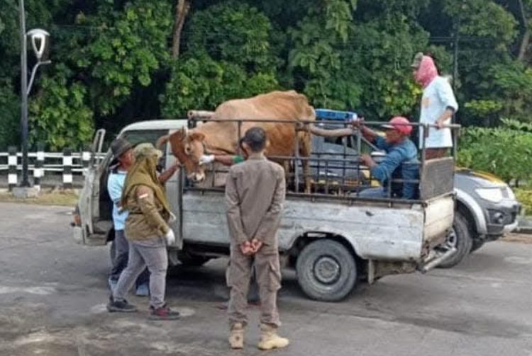 Penyekatan lalulintas hewan ternak di kawasan perbatasan untuk pencegahan penyakit mulut dan kuku.
