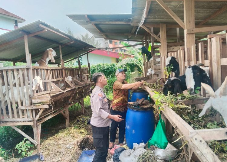 Aipda Arif Hidayat melakukan program ketahanan pangan dengan budidaya kambing perah.