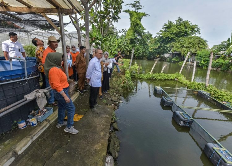 Menko Pangan Zulkifli Hasan saat kunjungan kerja ke Kelompok Tani  Kosagrha Lestari di Medayu Selatan V No 15, Kelurahan Medokan Ayu, Kecamatan Rungkut, Surabaya.