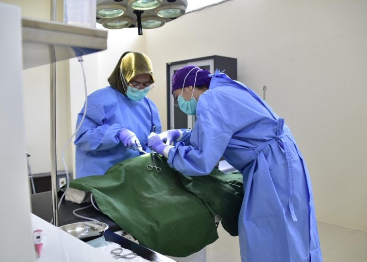 Pusat kesehatan hewan milik Pemkot Surabaya yang kini dilengkapi fasilitas ruang operasi.