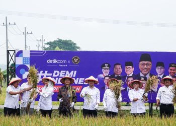 Panen raya padi di area persawahan di Desa Pangkur, Kecamatan Pangkur, Ngawi.