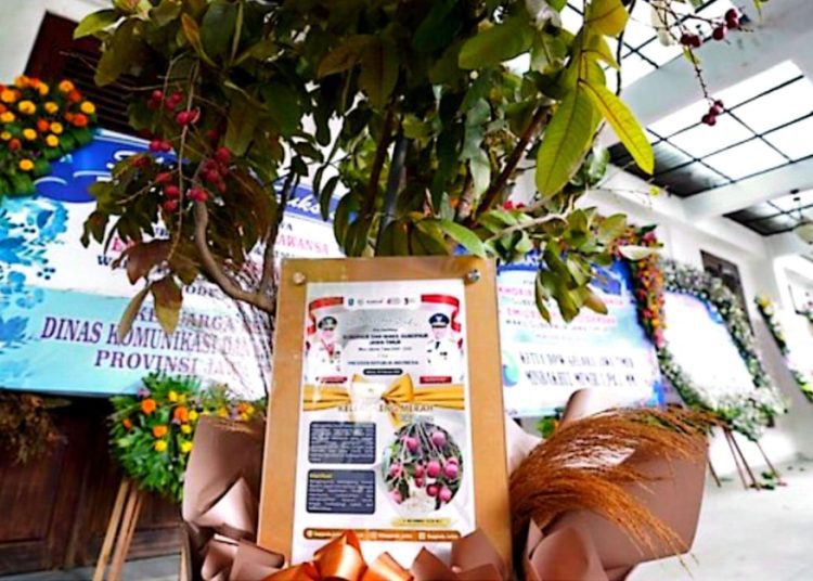 Pohon klengkeng merah dikirim ke gedung Negara Grahadi sebagai ucapan selamat kepada Khofifah Indar Parawansa dan Emil Elestianto Dardak.