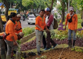 Penanaman tanaman hias oleh Yayasan WINGS Peduli dengan Dinas Lingkungan Hidup Pemkot Surabaya di taman Jalan Diponegoro.