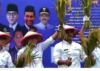 Menteri Koordinator Bidang Pangan Zulkifli Hasan pada panen raya padi di Desa Pangkur Kecamatan Pangkur Kabupaten Ngawi.