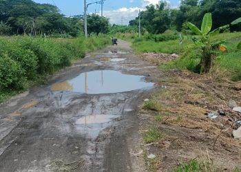 Jalan rusak yang dikeluhkan warga Kelurahan Warugunung, Kecamatan Karangpilang, Surabaya untuk diperbaiki.