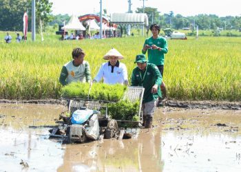 Wakil Gubernur Jatim Emil Elestianto Dardak mengikuti Gerakan Tanam Padi Serentak di Desa Purwosari, Kecamatan Babadan, Ponorogo.