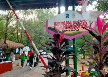 Kebun Raya Mangrove Surabaya.