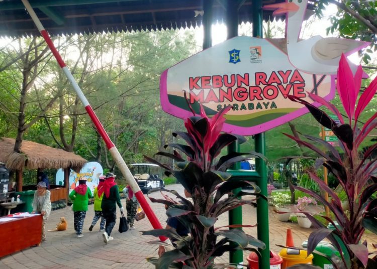 Kebun Raya Mangrove Surabaya.