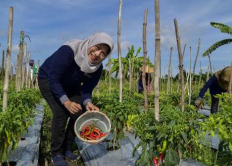Kepala Dinas Ketahanan Pangan dan Pertanian Kota Surabaya, Antiek Sugiharti