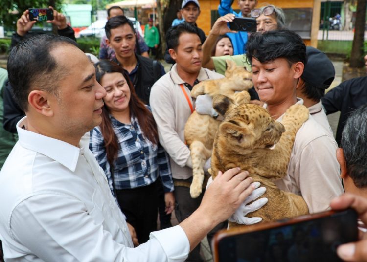 Wali Kota Surabaya Eri Cahyadi saat melakukan kunjungan ke Kebun Binatang Surabaya.