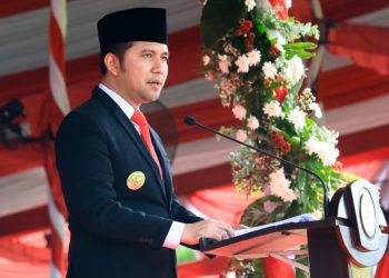 Wakil Gubernur Jawa Timur Emil Elestianto Dardak