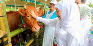 Gubernur Jawa Timur Khofifah Indar Parawansa di City Forest, Kecamatan Sumbersari, Kabupaten Jember.