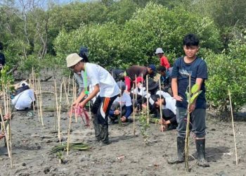 Penanaman mangrove oleh komunitas sekolah di SMP Negeri 1 Surabaya.