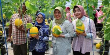 Gelaran penganugerahan Surabaya Urban Farming Competition 2025.
