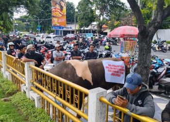 Paguyuban Jagal dan Pedagang Daging Rumah Potong Hewan (RPH) Pegirian saat  aksi unjuk rasa di depan Gedung DPRD Kota Surabaya.