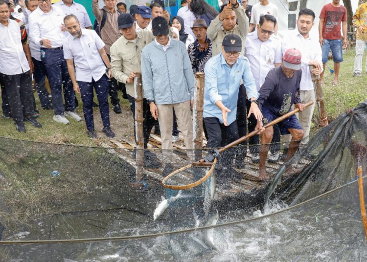 Menteri Koordinator Bidang Pangan Zulkifli Hasan meninjau sekaligus melakukan panen bandeng di Kampung Perikanan Budidaya (KPB) “Kampung Bandeng” Desa Pangkhah Wetan, Kecamatan Ujungpangkah, Kabupaten Gresik