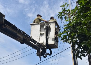 Penertiban puluhan tiang kabel fiber optik yang tidak mengantongi izin.