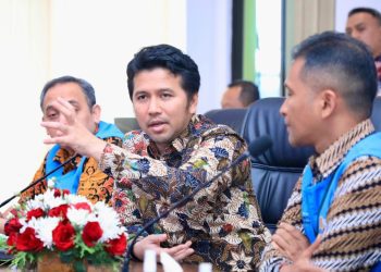 Gubernur Jawa Timur Emil Elestianto Dardak