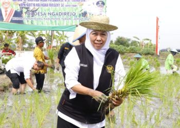 Gubernur Jawa Timur Khofifah Indar Parawansa