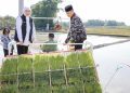 Gubernur Jatim Khofifah Indar Parawansa dalam percepatan tanam padi yang dilakukan di Desa Gading, Kecamatan Balerejo, Kabupaten Madiun.