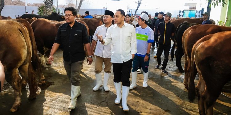 Foto ilustrasi Wali Kota Surabaya Eri Cahyadi sedang meninjau hewan kurban di Rumah Potong Hewan.