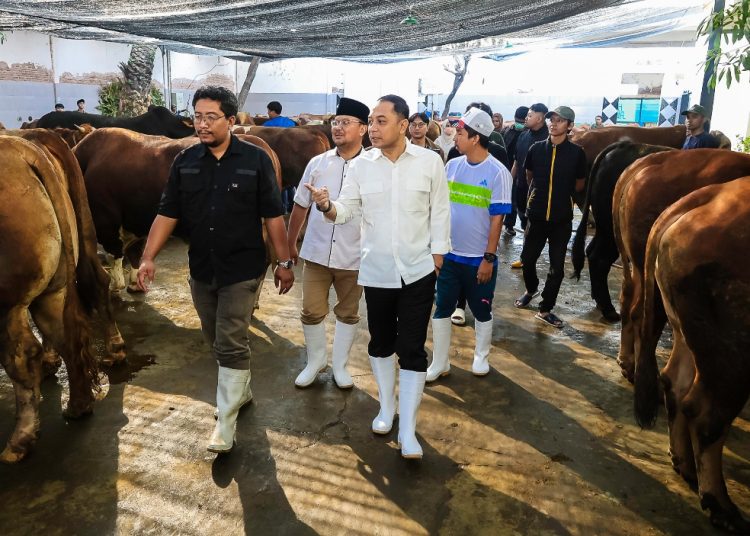 Foto ilustrasi Wali Kota Surabaya Eri Cahyadi sedang meninjau hewan kurban di Rumah Potong Hewan.
